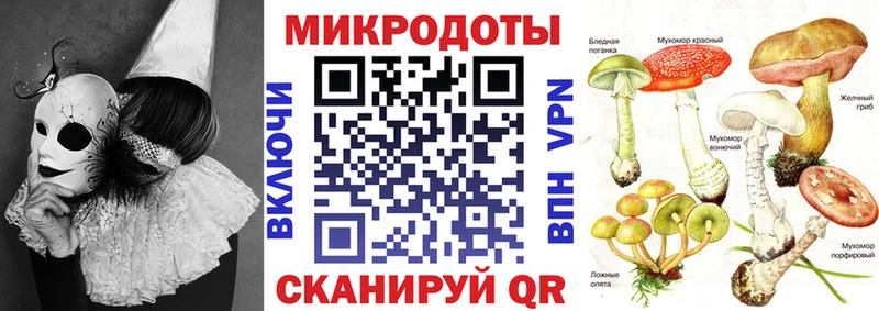 Псилоцибиновые грибы GOLDEN TEACHER  Купить  Петухово 