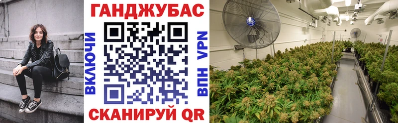 Купить закладки  Петухово  Бошки марихуана ГИДРОПОН 